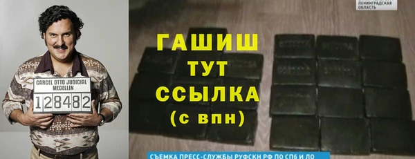 стаф Белокуриха