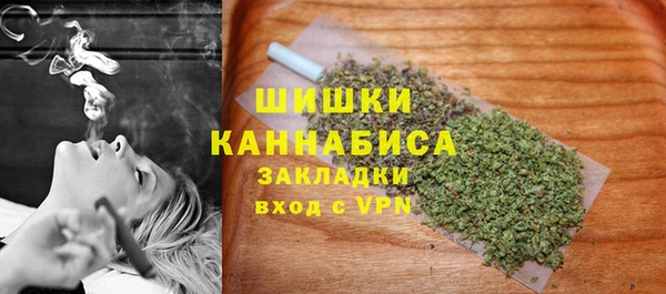 стаф Белокуриха