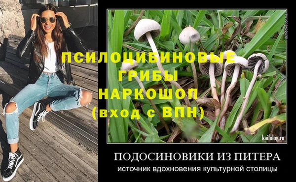 стаф Белокуриха