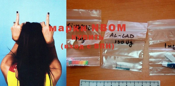 стаф Белокуриха