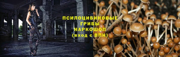 стаф Белокуриха