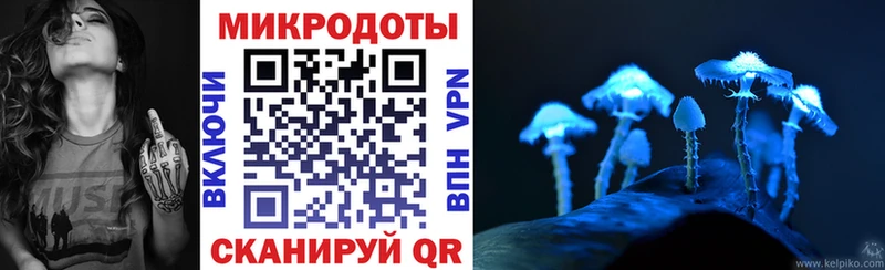 Псилоцибиновые грибы Psilocybine cubensis  даркнет сайт  Шацк 